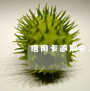 信用卡逾期8年怎么还不进去 信用卡逾期8年怎么还不进去