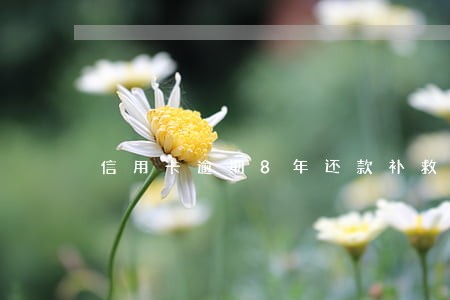 信用卡逾期8年还款补救办法 信用卡逾期8年还款补救办法
