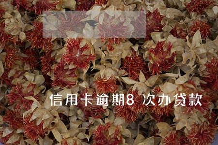 信用卡逾期8次办贷款 信用卡逾期8次办贷款
