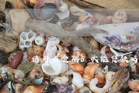 信用卡逾期8次能贷款吗