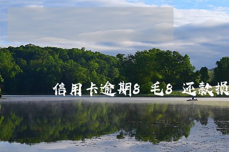 信用卡逾期8毛8还款损失
