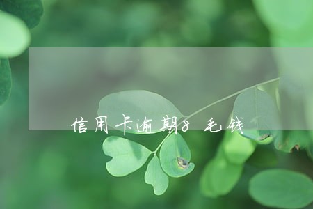信用卡逾期8毛钱 信用卡逾期8毛钱