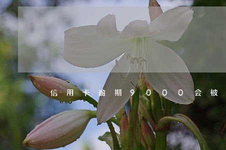 信用卡逾期9000会被刑事