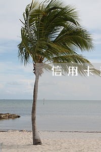 信用卡逾期9000会被判坐牢吗 信用卡逾期9000会被判坐牢吗