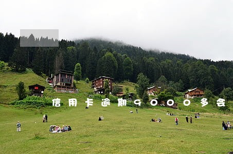 信用卡逾期9000多会上门嘛 信用卡逾期9000多会上门嘛