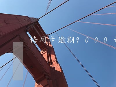 信用卡逾期9000无力偿还