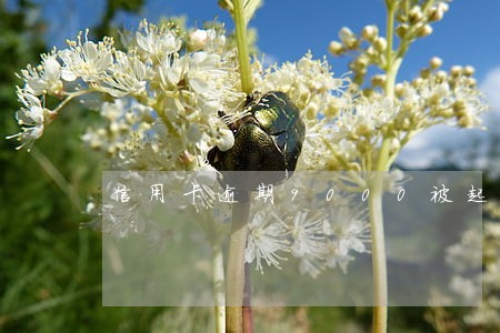 信用卡逾期9000被起诉