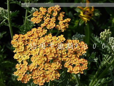 信用卡逾期9000说已经立案