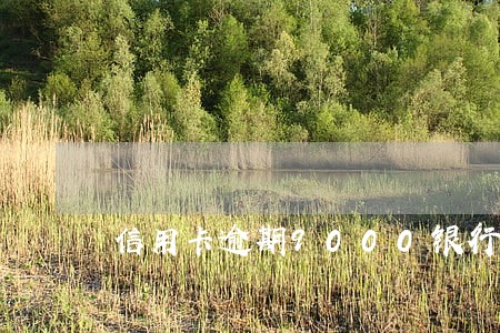 信用卡逾期9000银行要求