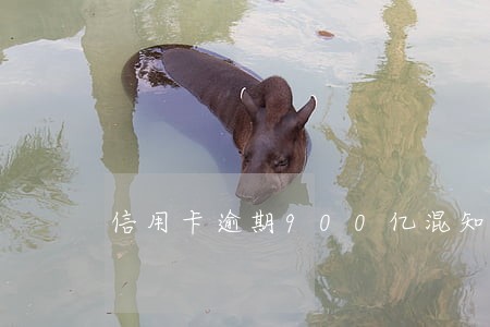 信用卡逾期900亿混知财经 信用卡逾期900亿混知财经