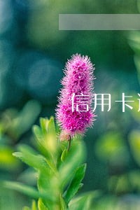 信用卡逾期900亿现在还了吗 信用卡逾期900亿现在还了吗
