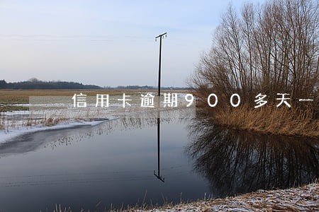 信用卡逾期900多天一直没还 信用卡逾期900多天一直没还
