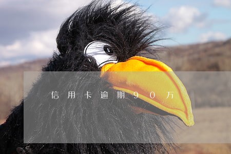 信用卡逾期90万