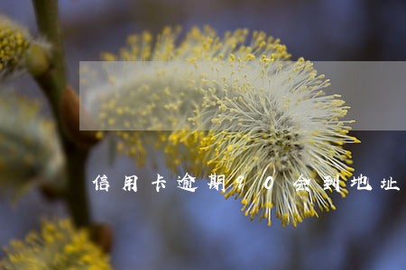 信用卡逾期90会到地址社区