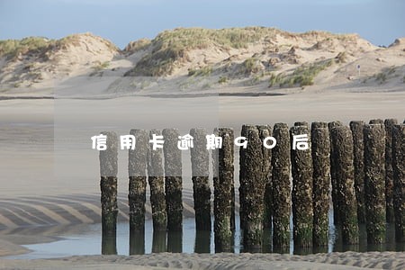 信用卡逾期90后 信用卡逾期90后