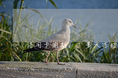 信用卡逾期90多天冻结 信用卡逾期90多天冻结