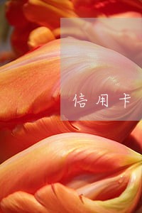 信用卡逾期90天上岸怎么办 信用卡逾期90天上岸怎么办