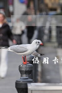信用卡逾期90天以上的催收率 信用卡逾期90天以上的催收率