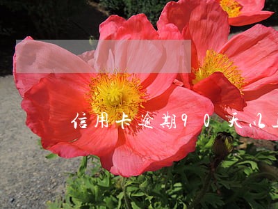 信用卡逾期90天以上还能买车嘛 信用卡逾期90天以上还能买车嘛