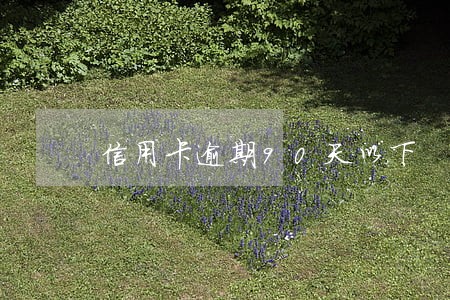 信用卡逾期90天以下 信用卡逾期90天以下