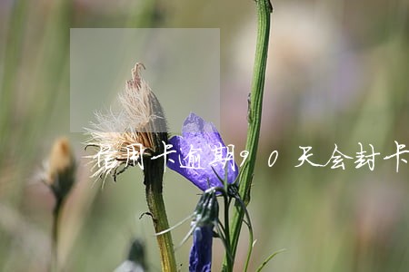 信用卡逾期90天会封卡吗 信用卡逾期90天会封卡吗