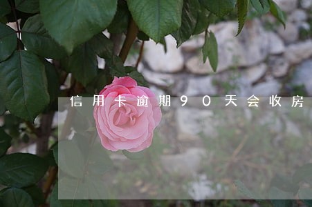 信用卡逾期90天会收房吗 信用卡逾期90天会收房吗
