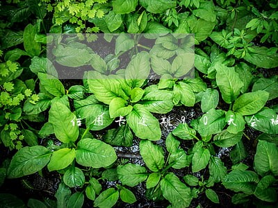 信用卡逾期90天会被起诉 信用卡逾期90天会被起诉