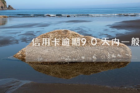 信用卡逾期90天内一般分期 信用卡逾期90天内一般分期