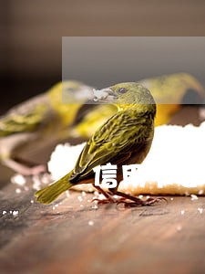 信用卡逾期90天卡还能用吗 信用卡逾期90天卡还能用吗