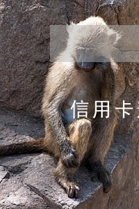 信用卡逾期90天可以去网吧吗