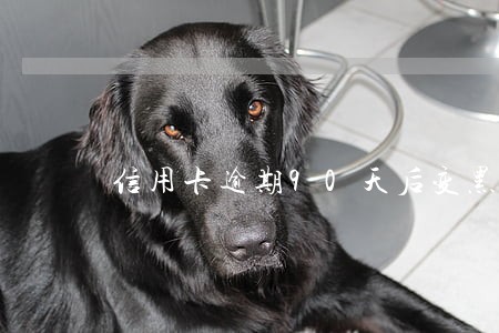 信用卡逾期90天后变黑户 信用卡逾期90天后变黑户