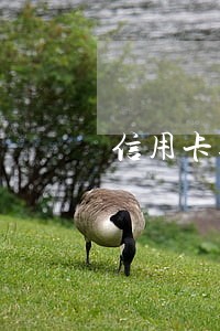 信用卡逾期90天后结果