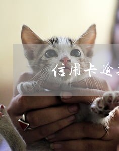信用卡逾期90天后还清被停卡