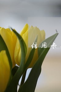 信用卡逾期90天多久可以再办 信用卡逾期90天多久可以再办