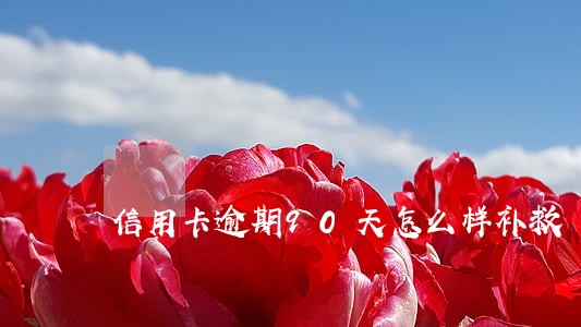 信用卡逾期90天怎么样补救 信用卡逾期90天怎么样补救