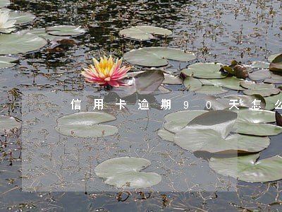 信用卡逾期90天怎么算时间 信用卡逾期90天怎么算时间