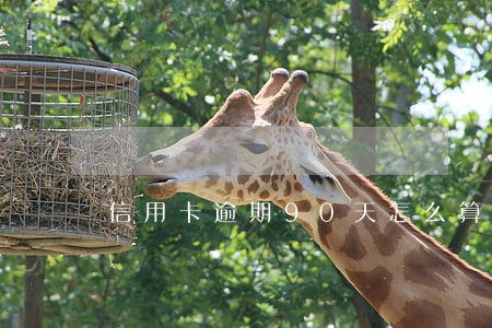 信用卡逾期90天怎么算的 信用卡逾期90天怎么算的