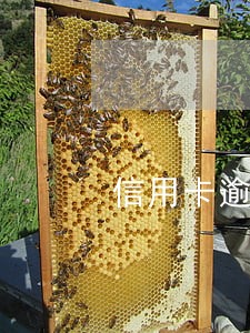 信用卡逾期90天是黑户 信用卡逾期90天是黑户