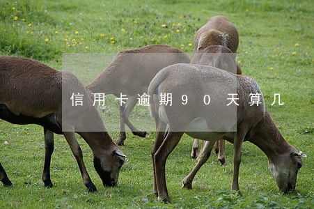 信用卡逾期90天算几 信用卡逾期90天算几