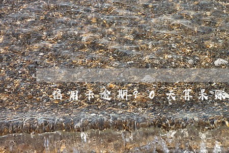 信用卡逾期90天算呆账吗 信用卡逾期90天算呆账吗