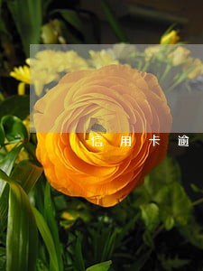 信用卡逾期90天算黑户吗6 信用卡逾期90天算黑户吗6