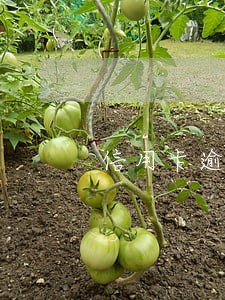 信用卡逾期90天能协商 信用卡逾期90天能协商