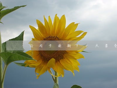 信用卡逾期90天要全部还款吗 信用卡逾期90天要全部还款吗