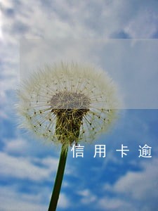 信用卡逾期90天解封 信用卡逾期90天解封