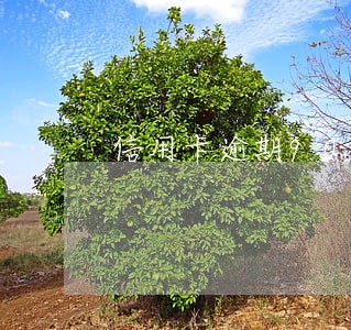 信用卡逾期90天记录 信用卡逾期90天记录