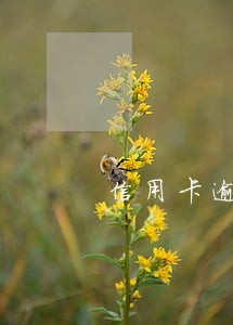 信用卡逾期90天还一千 信用卡逾期90天还一千