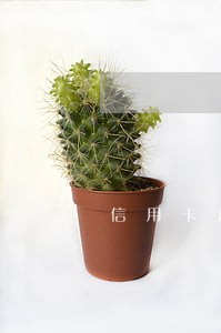 信用卡逾期90天还不上怎么办 信用卡逾期90天还不上怎么办