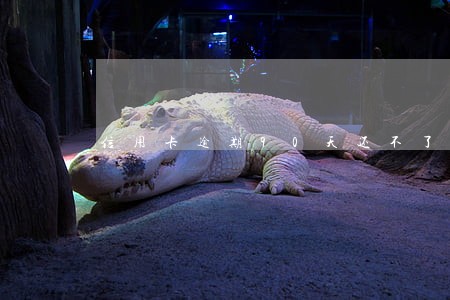 信用卡逾期90天还不了怎么办