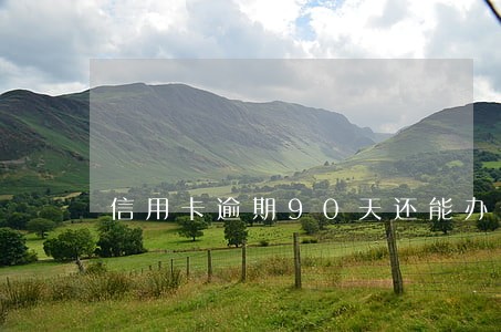 信用卡逾期90天还能办分期吗 信用卡逾期90天还能办分期吗