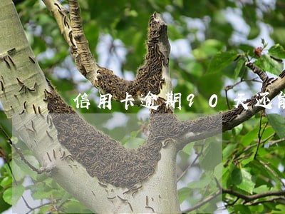 信用卡逾期90天还能用吗 信用卡逾期90天还能用吗
